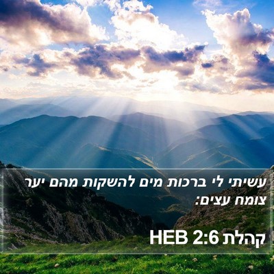 קהלת 2:6 HEB Bible Verse Image