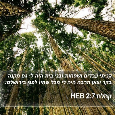 קהלת 2:7 HEB Bible Verse Image