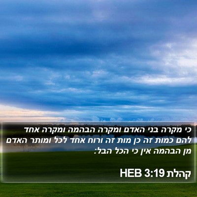 קהלת 3:19 HEB Bible Verse Image