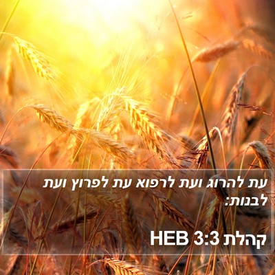 קהלת 3:3 HEB Bible Verse Image