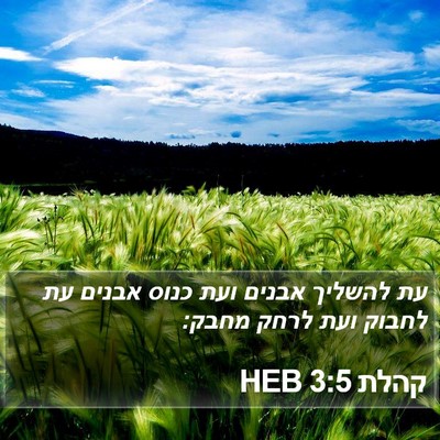קהלת 3:5 HEB Bible Verse Image