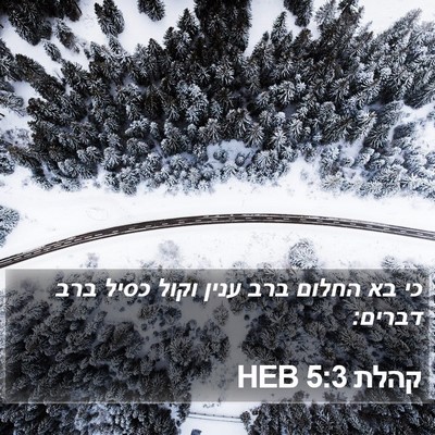 קהלת 5:3 HEB Bible Verse Image