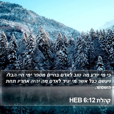 קהלת 6:12 HEB Bible Verse Image