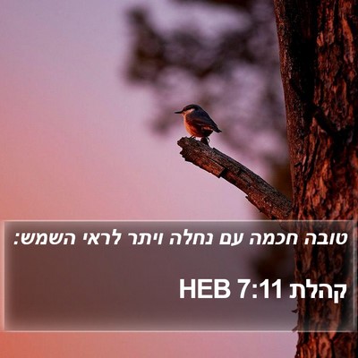 קהלת 7:11 HEB Bible Verse Image