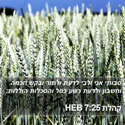 קהלת 7:25 HEB Bible Verse Image