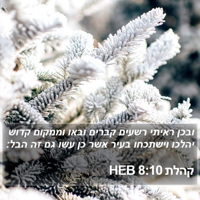 קהלת 8:10 HEB Bible Verse Image