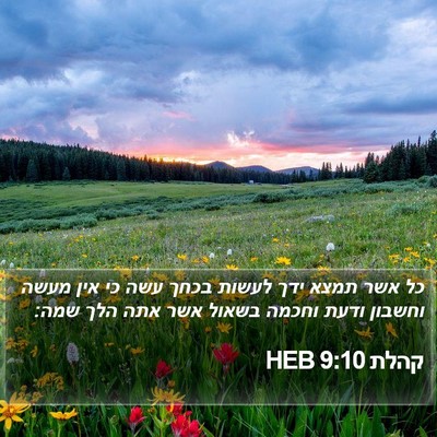 קהלת 9:10 HEB Bible Verse Image