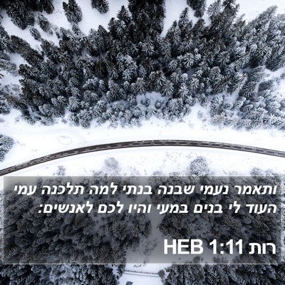 רות 1:11 HEB Bible Verse Image