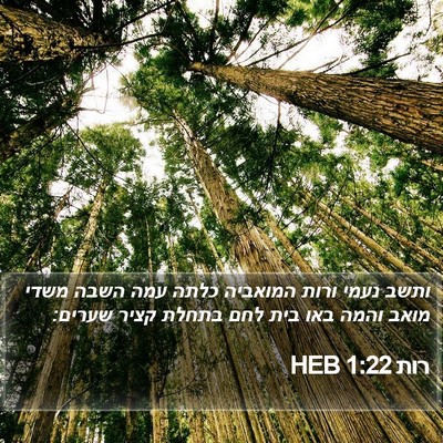 רות 1:22 HEB Bible Verse Image