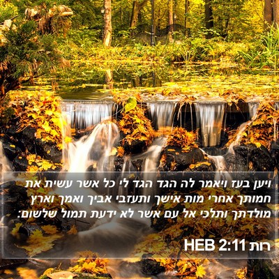 רות 2:11 HEB Bible Verse Image