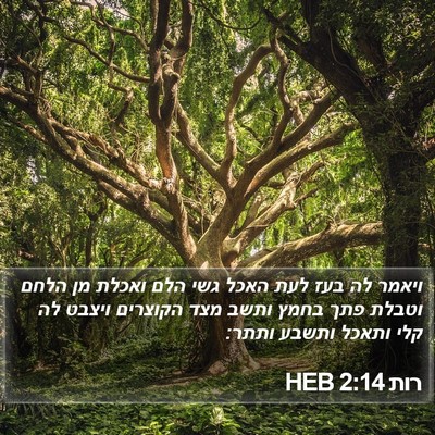 רות 2:14 HEB Bible Verse Image