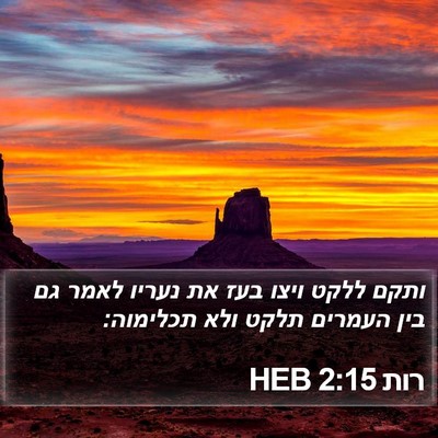 רות 2:15 HEB Bible Verse Image