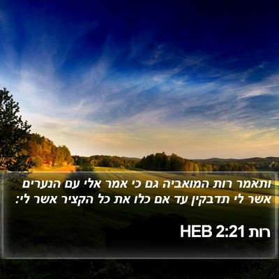 רות 2:21 HEB Bible Verse Image