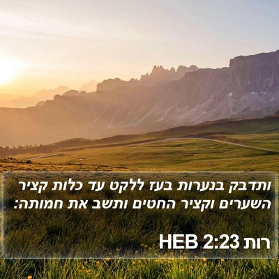 רות 2:23 HEB Bible Verse Image