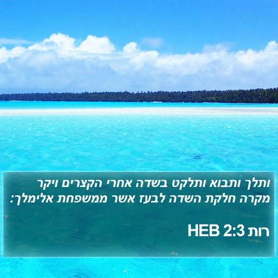 רות 2:3 HEB Bible Verse Image