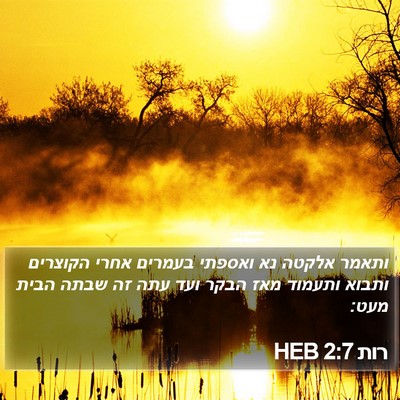 רות 2:7 HEB Bible Verse Image