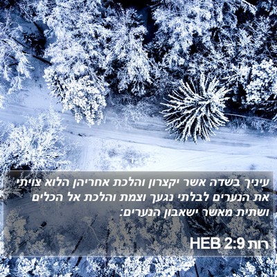 רות 2:9 HEB Bible Verse Image