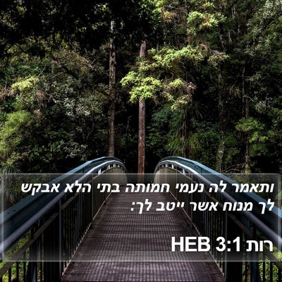 רות 3:1 HEB Bible Verse Image