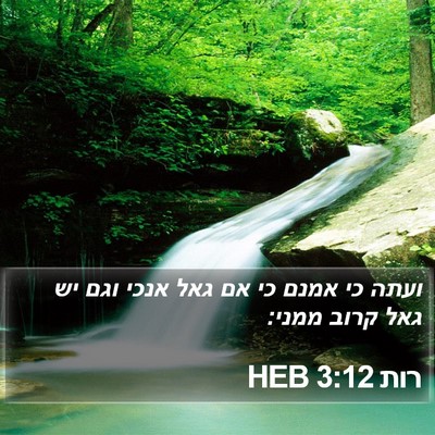רות 3:12 HEB Bible Verse Image