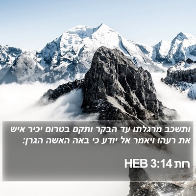 רות 3:14 HEB Bible Verse Image