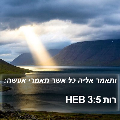 רות 3:5 HEB Bible Verse Image