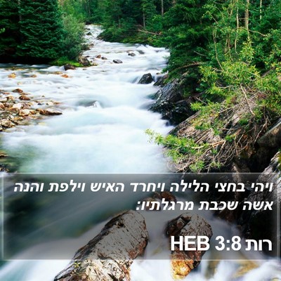 רות 3:8 HEB Bible Verse Image