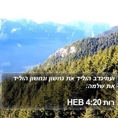 רות 4:20 HEB Bible Verse Image