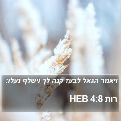 רות 4:8 HEB Bible Verse Image
