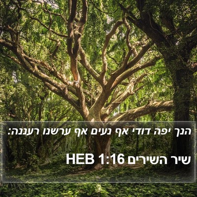 שיר השירים 1:16 HEB Bible Verse Image