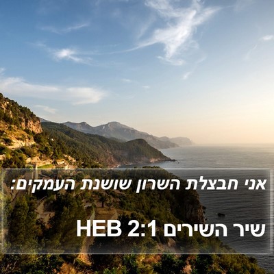 שיר השירים 2:1 HEB Bible Verse Image