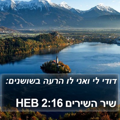 שיר השירים 2:16 HEB Bible Verse Image