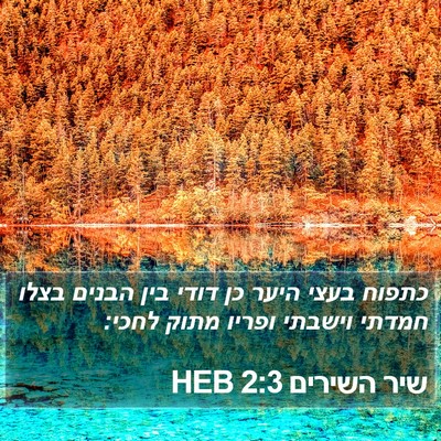 שיר השירים 2:3 HEB Bible Verse Image