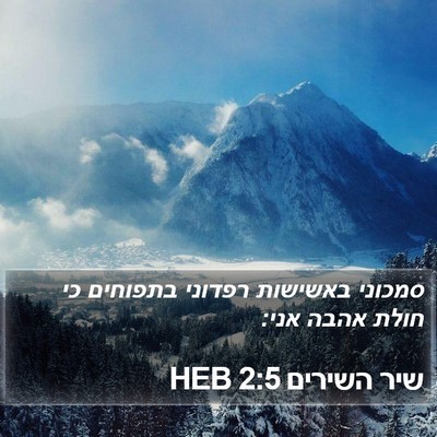 שיר השירים 2:5 HEB Bible Verse Image