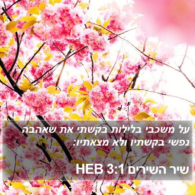 שיר השירים 3:1 HEB Bible Verse Image