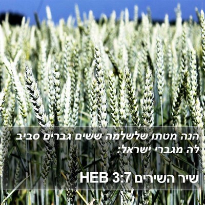 שיר השירים 3:7 HEB Bible Verse Image