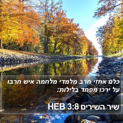שיר השירים 3:8 HEB Bible Verse Image