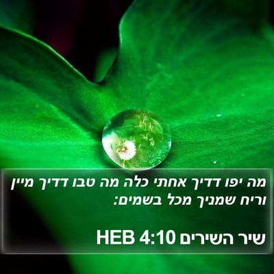 שיר השירים 4:10 HEB Bible Verse Image