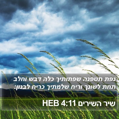שיר השירים 4:11 HEB Bible Verse Image