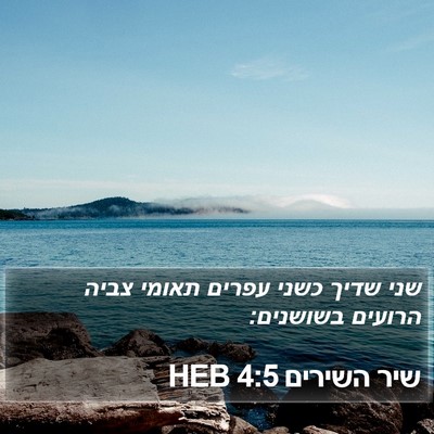שיר השירים 4:5 HEB Bible Verse Image