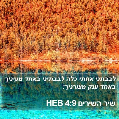 שיר השירים 4:9 HEB Bible Verse Image