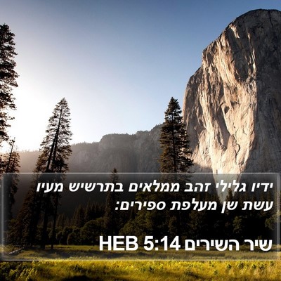 שיר השירים 5:14 HEB Bible Verse Image