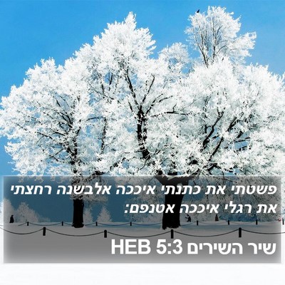 שיר השירים 5:3 HEB Bible Verse Image
