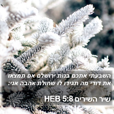 שיר השירים 5:8 HEB Bible Verse Image