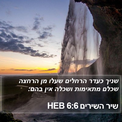 שיר השירים 6:6 HEB Bible Verse Image