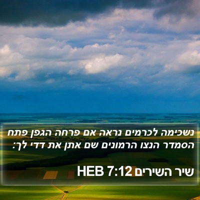 שיר השירים 7:12 HEB Bible Verse Image