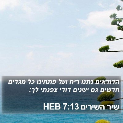 שיר השירים 7:13 HEB Bible Verse Image