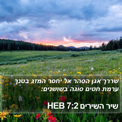 שיר השירים 7:2 HEB Bible Verse Image