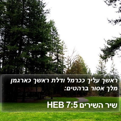 שיר השירים 7:5 HEB Bible Verse Image