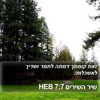 שיר השירים 7:7 HEB Bible Verse Image