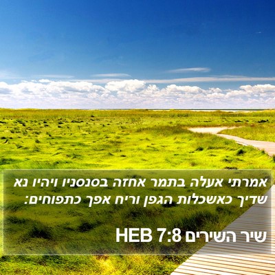שיר השירים 7:8 HEB Bible Verse Image
